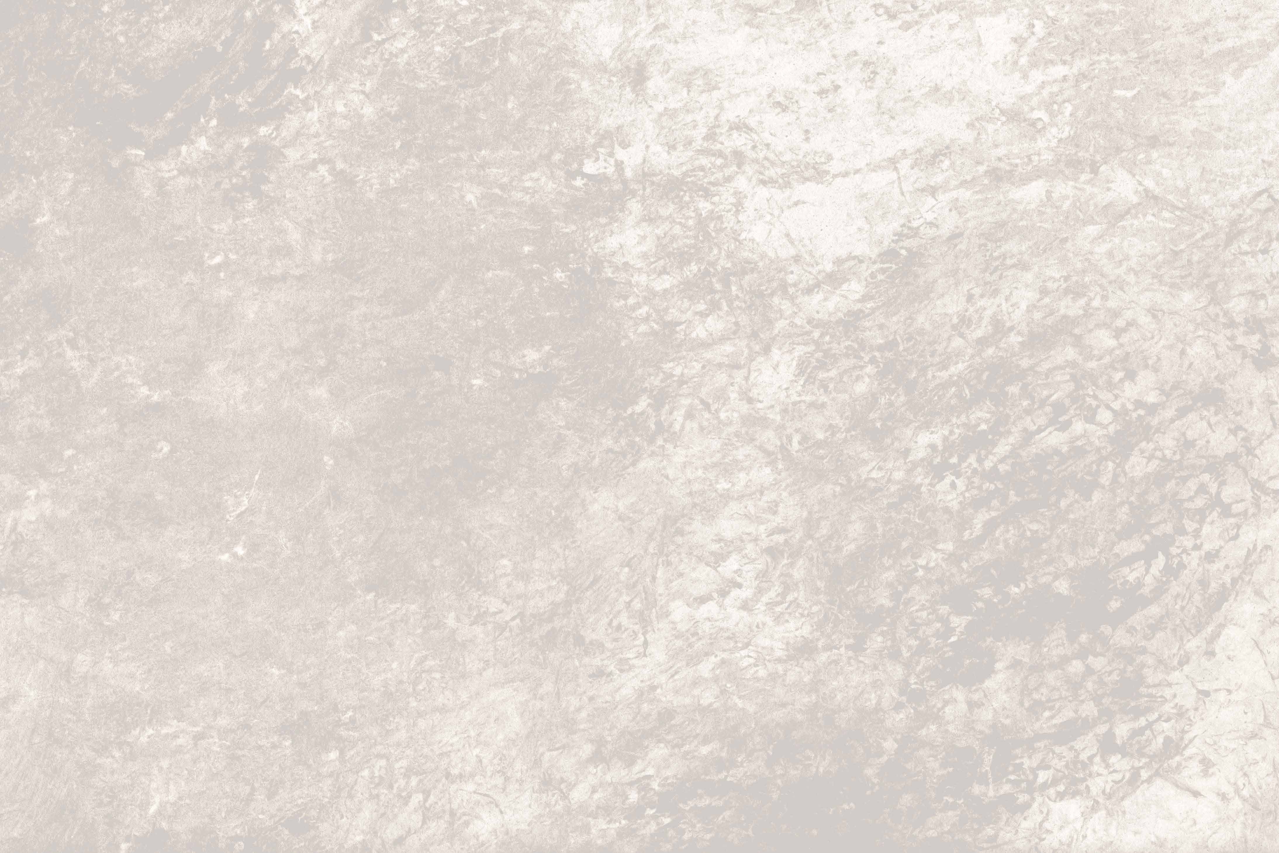 PORTE Elastic Stone — קולקציית 2026